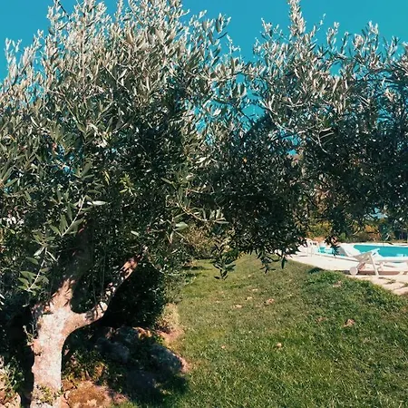 Oliveira Βίλα